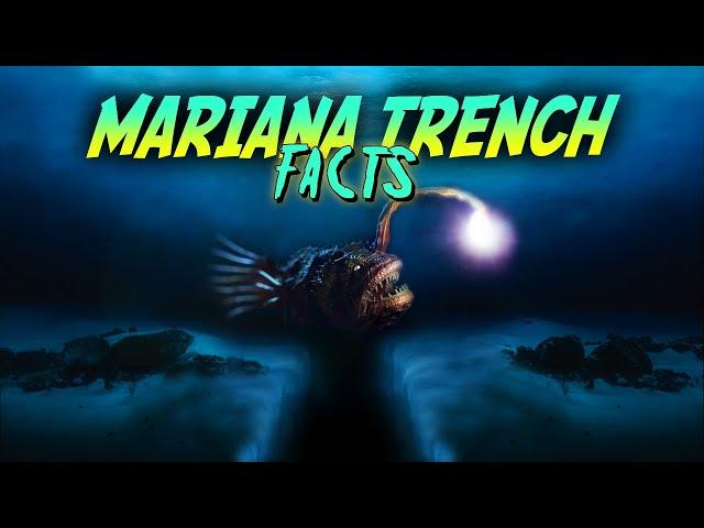 Mariana Trench Facts!