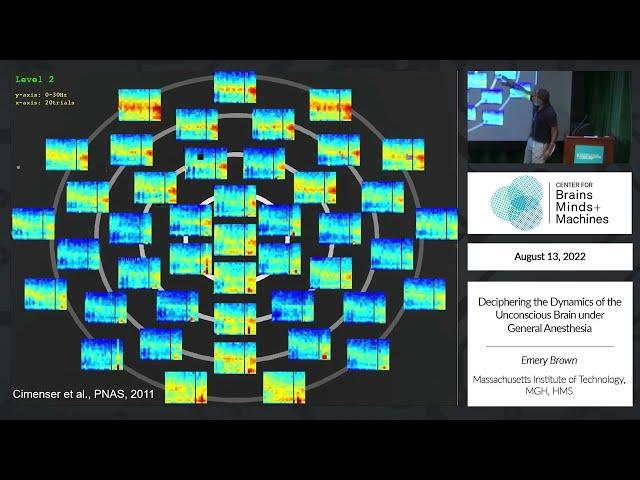 Deciphering the Dynamics of the Unconscious Brain under General Anesthesia