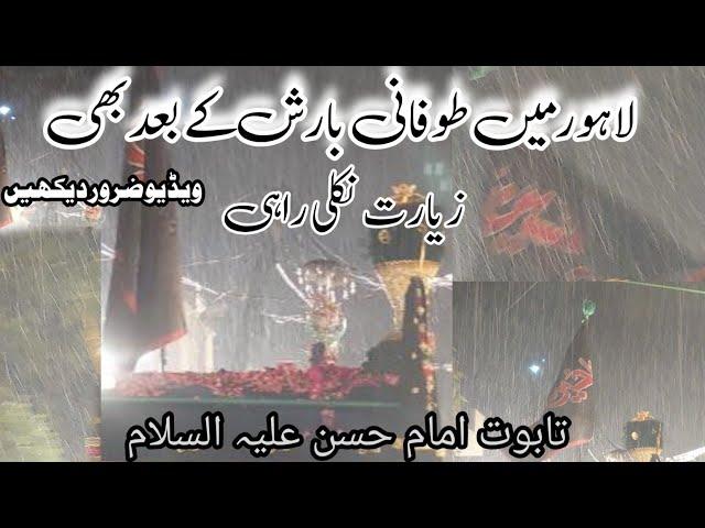 Taz Baris Ma Taboot Imam Hassan A.s | 28 Safer 2024 | Ziyarat of Imam Hassan A.s | At:Lahore Jaloos