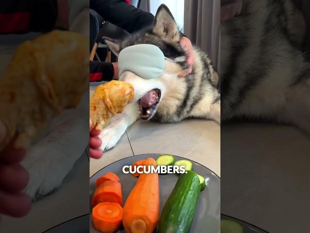 Tricked by "chicken"