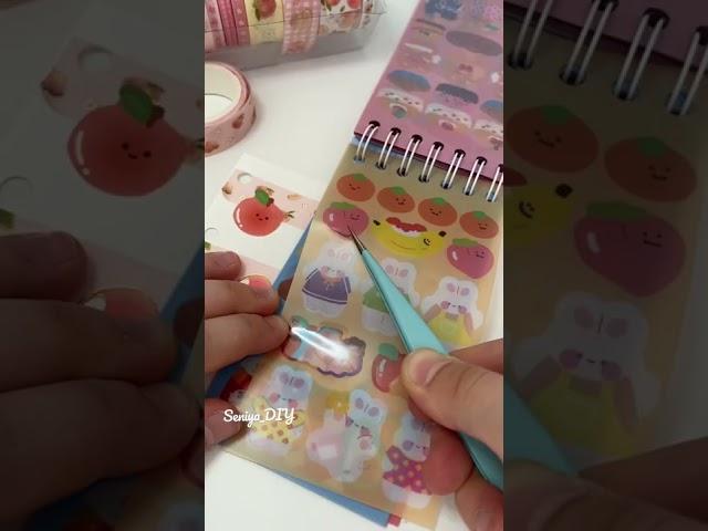 Journal with me Peach theme | mini journal ASMR