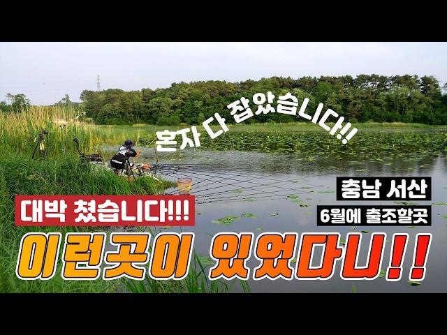 긴급!! 충남 서산 접수!! 예산부터 서산까지 산만 들어가면 대박!! 서산에 이런곳이 있었다니!! 붕어 혼자만 다 잡았다!!