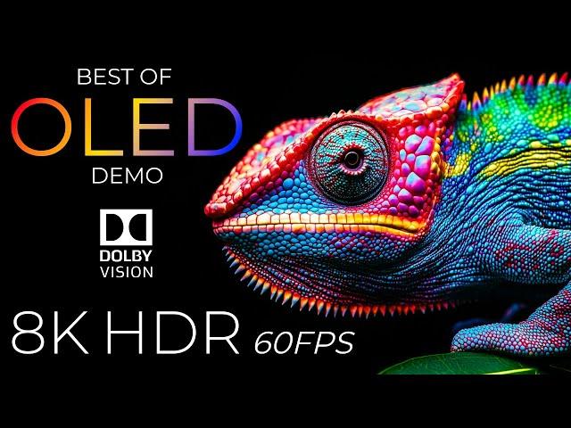 Best of OLED Demo HDR 8K Ultra HD Dolby Vision™ 60fps