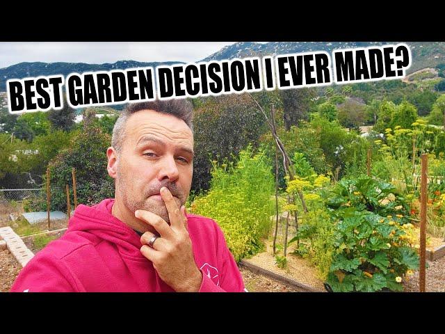 My Secret to Organic Gardening Success