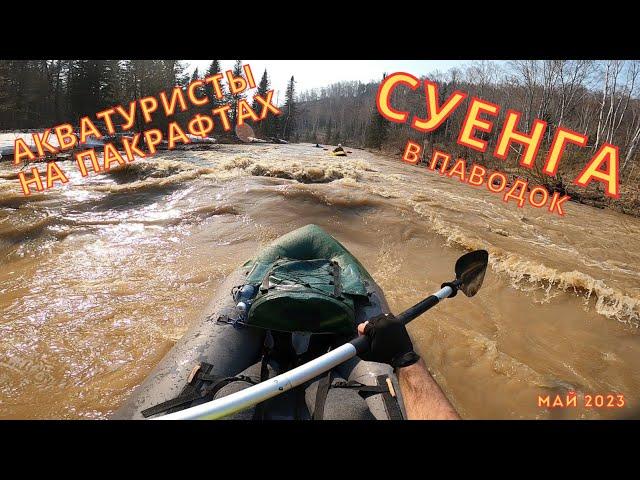 Сплав на пакрафте в паводок. Река Суенга. Новосибирская область. Май 2023