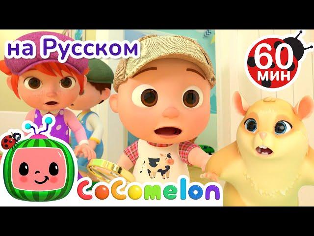 Кто Найдет Хомяка? | Сборник 1 Час | CoComelon на русском — Детские песенки