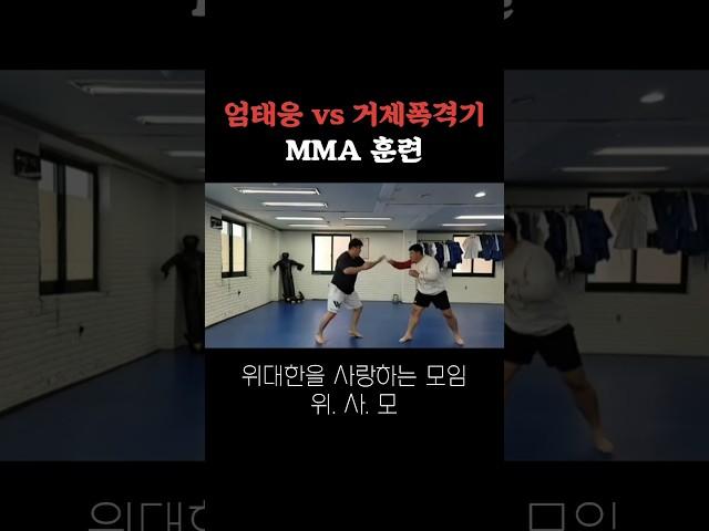 엄태웅 vs 거제폭격기