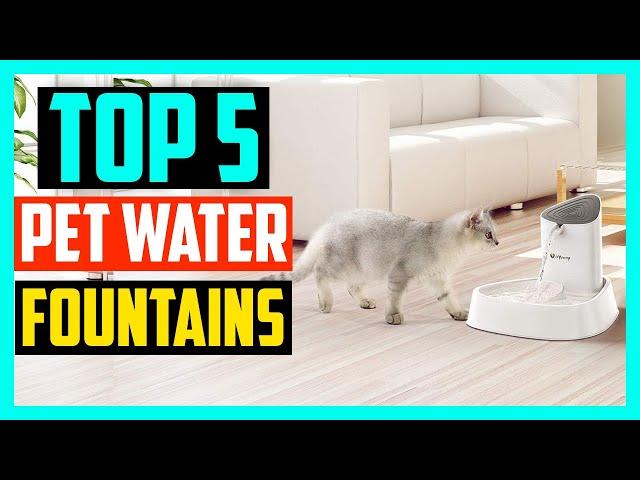 Top 5 Best Pet Water Fountains in 2024 Reviews