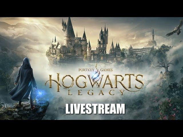 More Hogwarts Legacy