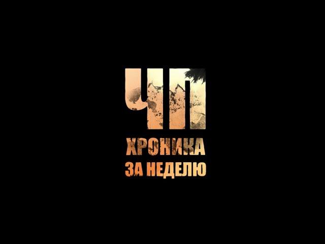 "Дорогой" люк, контрабанда леса и украденные мобильники в программе "ЧП. Хроника за неделю"