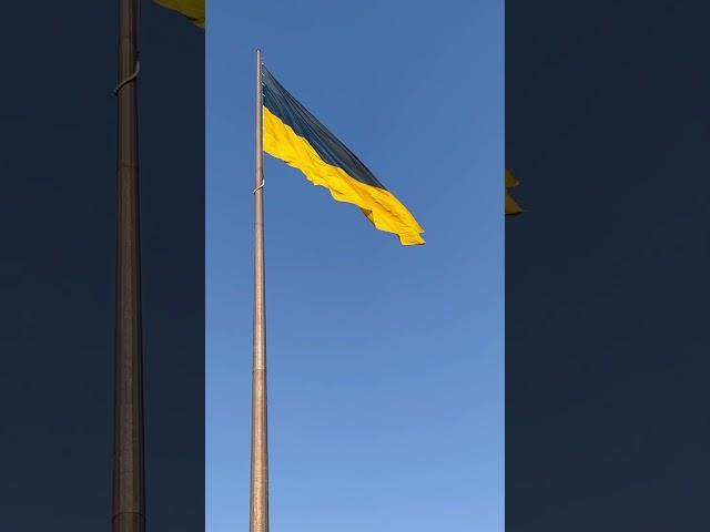 Colours of Ukrainian freedom | Державний Прапор України | Прапор України на вітру | жовто-блакитний