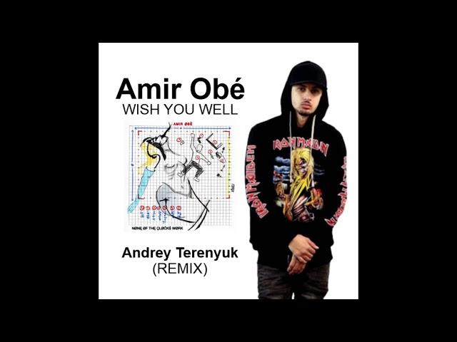 Amir Obe - WISH YOU WELL (Andrey Terenyuk - Remix)