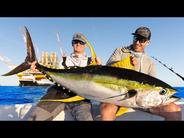 GIANT Tuna Under World's BIGGEST Oil Rig! Catch Clean Cook (Yellowfin Tuna)