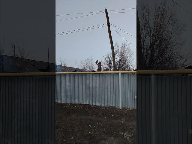 На что похоже?