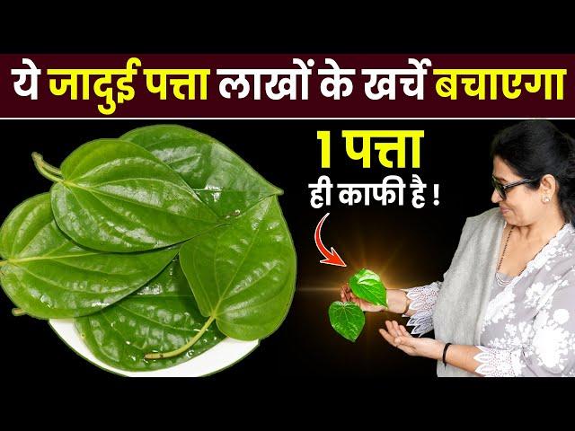 ये 1 पत्ता आपको सैकड़ो बीमारियों से बचाएगा, बुढ़ापे तक शरीर मजबूत, निरोगी बना रहेगा | Paan Ke Fayde