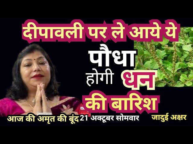 दीपावली पर ले आये ये पौधा होगी धन की बारिश #diwali #problem #plant #money #family #astrology#tips
