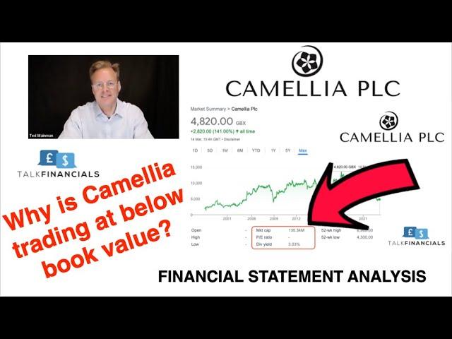 Camellia 2021 - Financial Analysis: Why is this company trading at a discount to book value?