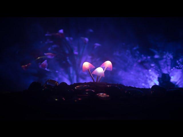 Relaxing Fairy Music - Dark Fae | Soothing, Sleep, Peaceful 180