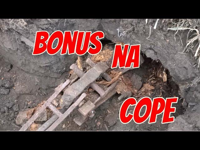 Один сигнал с Гефестом решил весь коп.