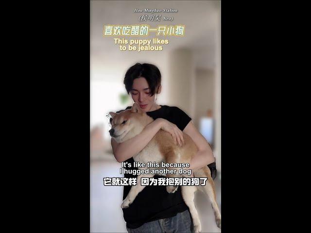 [ENG SUB] 20240417 Hou Minghao - Day 2: Daily Playtime with dogs || "Tenday (十天之后回到现实)"