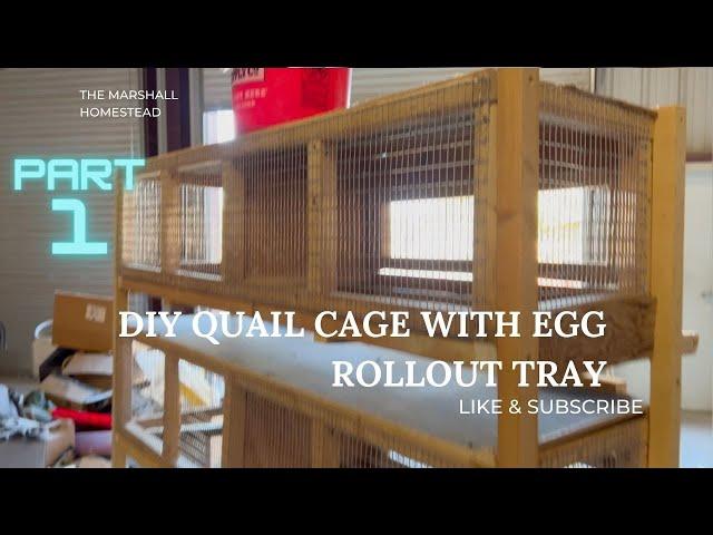 DIY Quail Cage with egg rollout tray using scrap wood! Part 1.