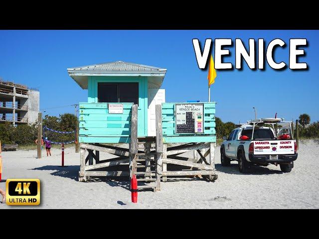 Venice Beach - Venice Florida