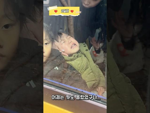 유치원 첫등원부터 한달 간 적응하기까지️#유치원#첫등원#유치원첫등원#육아#육아일상#삼남매#아들#cute#shorts
