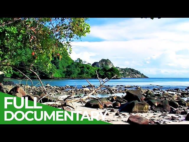 Cocos Island - Mysterious Wonder of the Pacific Ocean | Free Documentary Nature