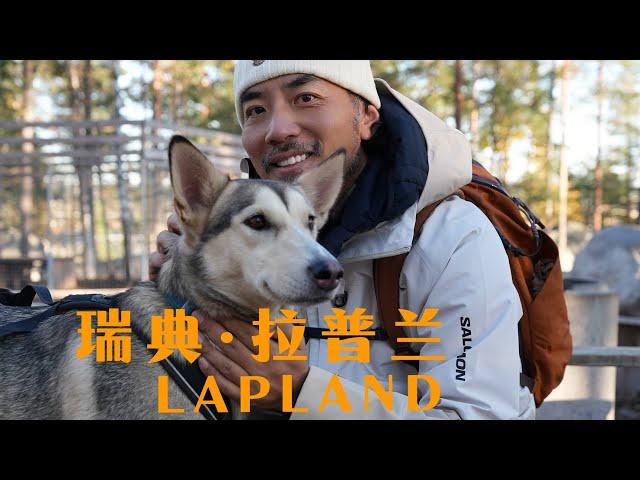 動物森友會現實版！竟然讓我在北極找到了！What a wonderful animal world I found in Sweden!