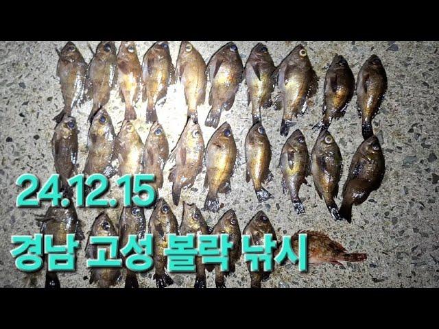 경남 고성 볼락 낚시(24.12.15)7물