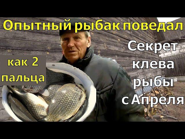 Старый рыбак поведал о УЛОВИСТОЙ Рыболовнай насадке. Рыбалка на карася. Ловля карася.