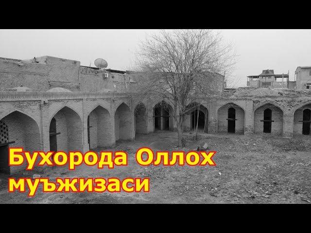 Бухорода Оллох муъжизаси хикоя