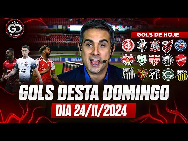 ️ TODOS OS GOLS DESTE DOMINGO 24/11/2024 GOLS DE HOJE, GOLS DO DIA, GOLS DO BRASILEIRÃO (COMPLETO)