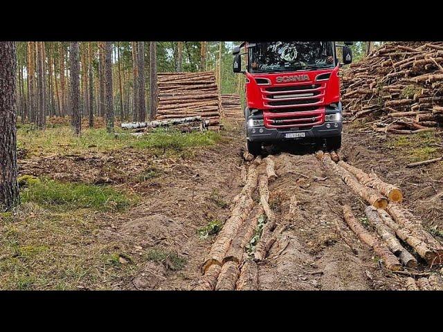 Leśna przygoda#339 IDZIEEE | Camel TROPHY