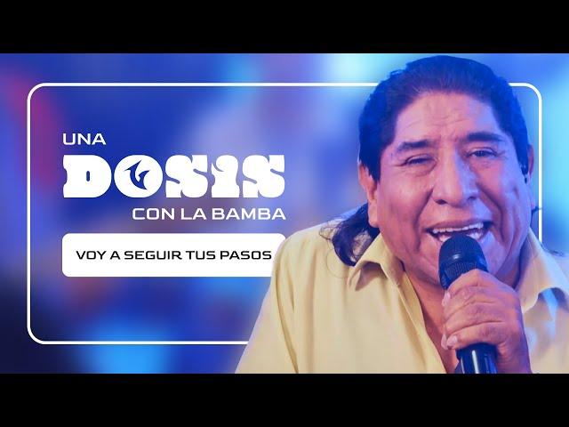 UNA DOSIS CON... LA BAMBA - Voy a seguir tus pasos