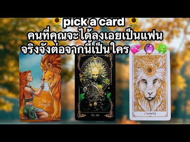 pick a card  คนที่คุณจะได้ลงเอยจริงจังต่อจากนี้เป็นใคร?#timeless #tarot