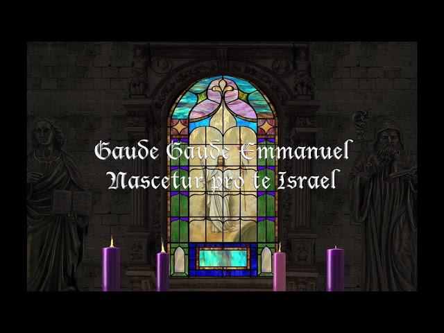 Veni Veni Emmanuel - Clamavi De Profundis