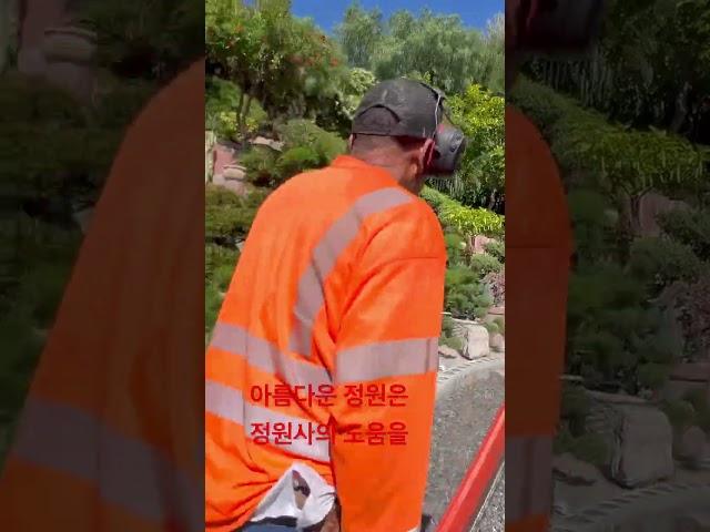 고마운 정원사님 28년동안 #주부권tv #엘에이 #정식당 #정성희 #춘천닭갈비 #정성희 #춘천닭갈비 #형제갈비 #보릿고개 #