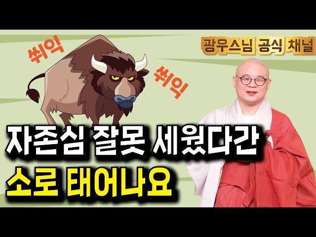 소로 태어날수는 없잖아요 | 광우스님 소나무법문시즌3 170회