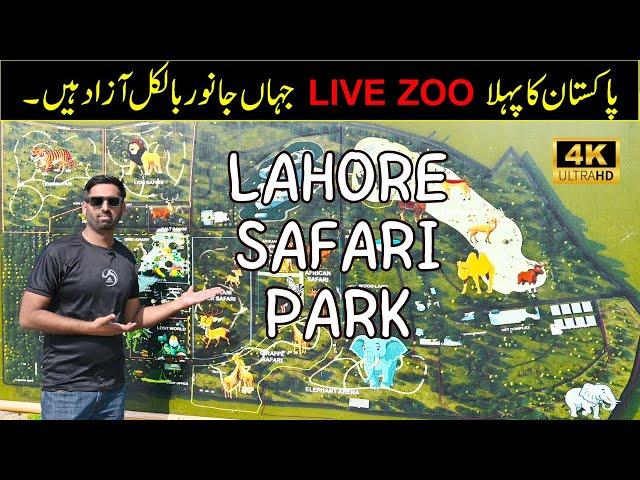 Lahore Safari Park in 4K | Best Experience of Wildlife | Safari Park Lahore | Travel with Umar #zoo