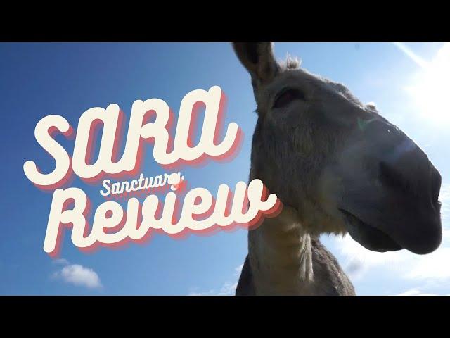 From Ranch to Rescue, Meet SARA Sanctuary - Airbnb Review