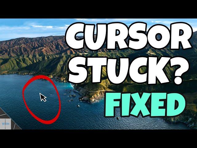 Macbook/iMac Cursor Stuck | 3 Fixes With Explanation