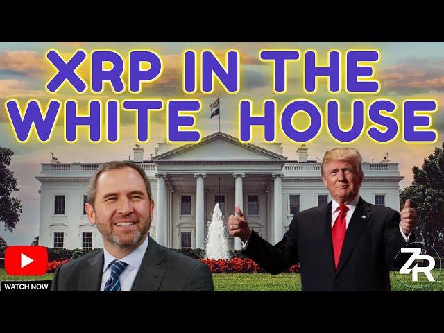 Brad Confirms XRP Talk With Trump!