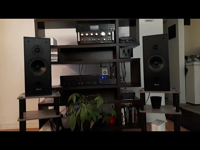 Axiom Audio + Audio Reflex