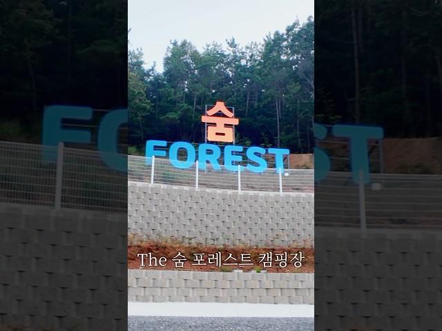 동남아 느낌나는 마산 캠핑장 #창원펜션 #마산펜션 #창원카라반 #마산카라반 #창원캠핑 #마산캠핑 #창원캠핑장 #마산캠핑장 #창원 #마산 #국내여행 #여행