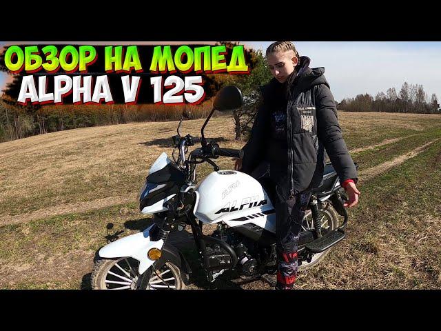 ОБЗОР на НОВЫЙ МОПЕД ALPHA V 125