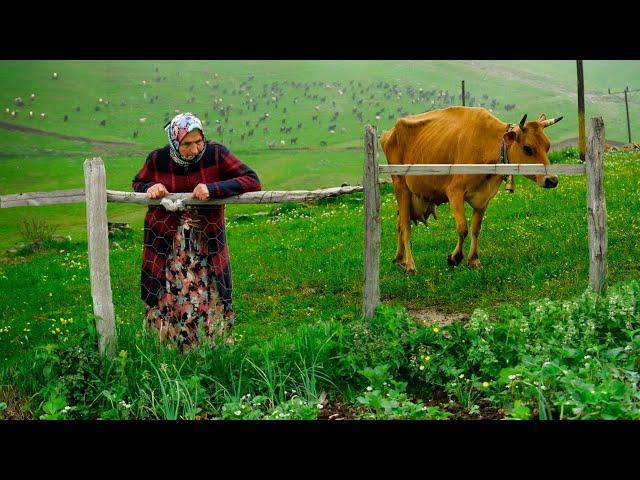 Yaylacı Mother and Sons | Documentary movie