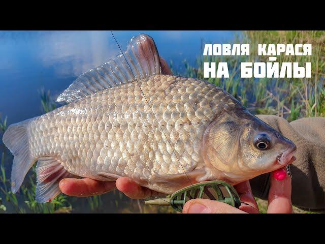 Ловля карася на бойлы  | Укрупняем рыбу крупной насадкой | Flat Feeder