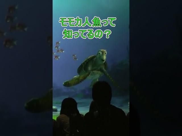 子ども達のやりとりが可愛くて面白すぎる【タートルトーク】東京ディズニーシー