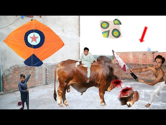 Kite & Bail Ziba Kr Diya | Eid Mubarak